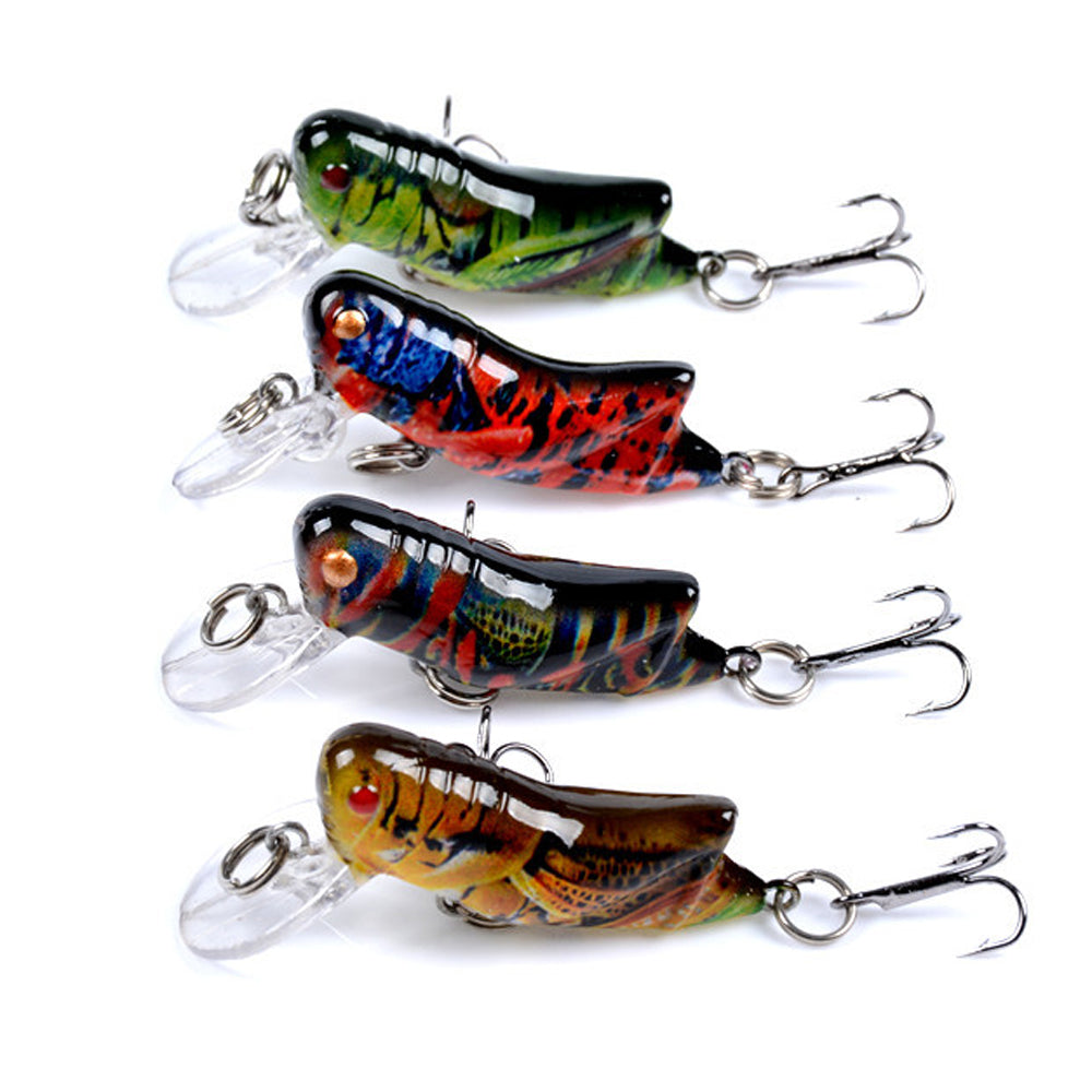 Fishing Lure, 63mm Simulation Grasshopper Shape Fish Hard Lures Fake Bait  Fishing Supplies - D : : Sports, Fitness & Outdoors