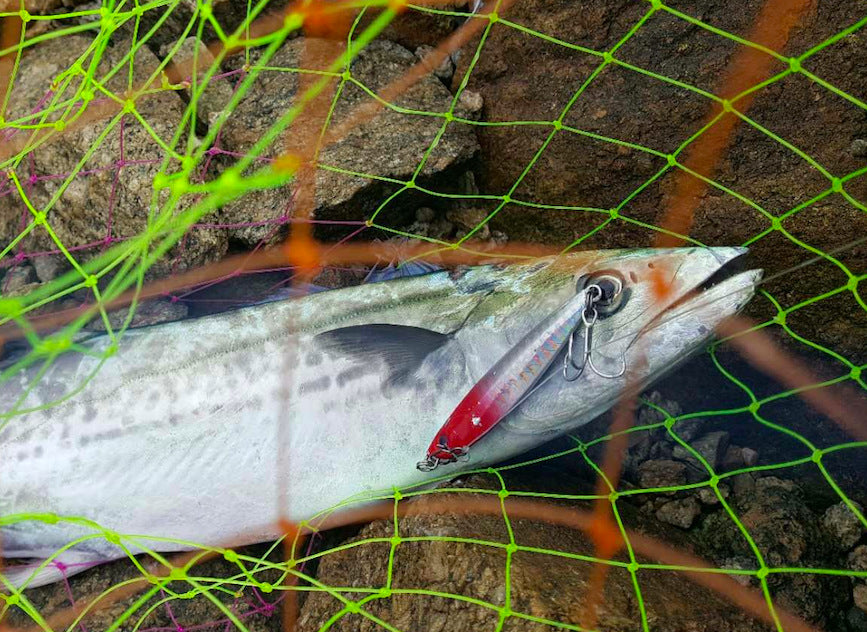2 Big Eye Fishing Lures Popper Crankbait Swimbait Sunfish Crappie
