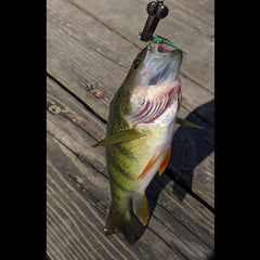 3 Penis Shape Dick Spinner Spoon Lure Perfect gag gift Black or Rose Gold Color Bass Trout Freshwater Fishing – California Outdoor Pro
